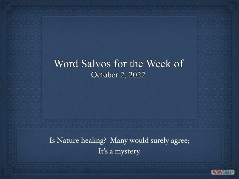 salvo0zp