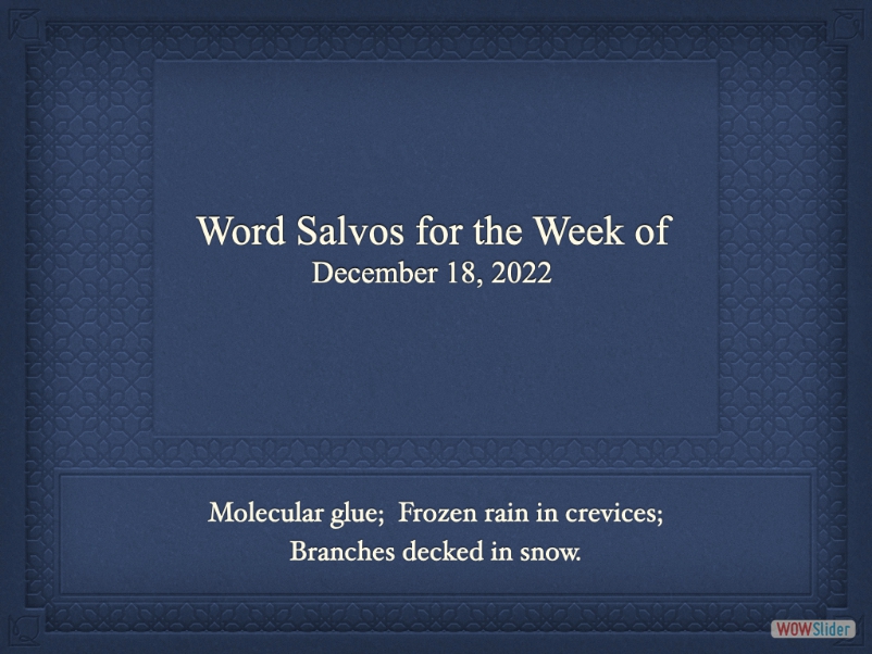 salvo0zz1