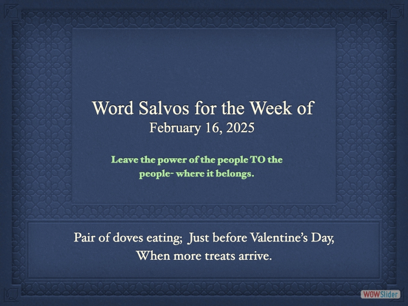 salvo1000bf