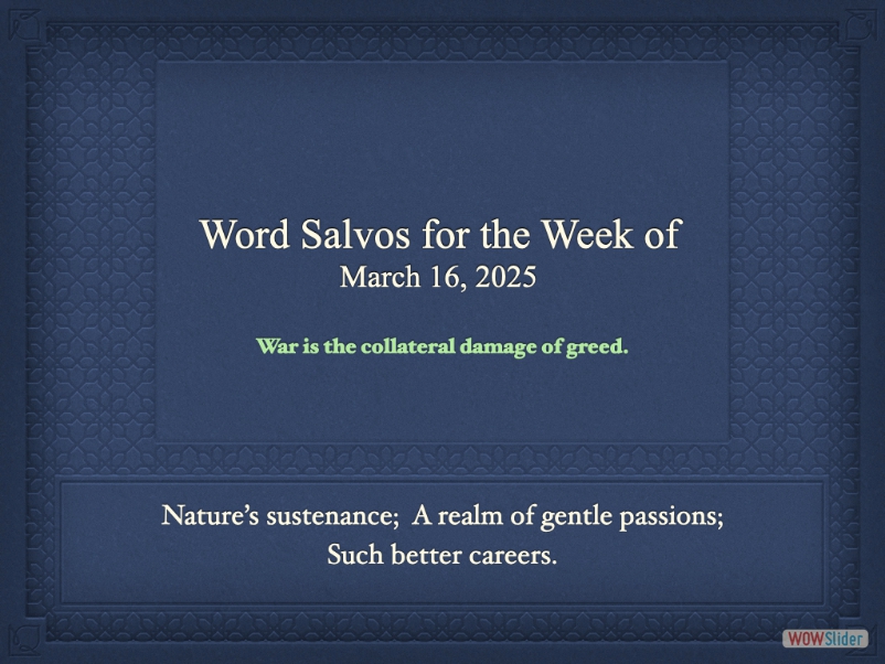 salvo1000bj