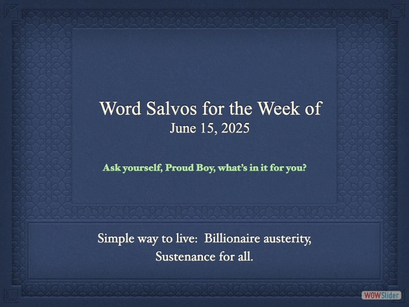 salvo1000bw