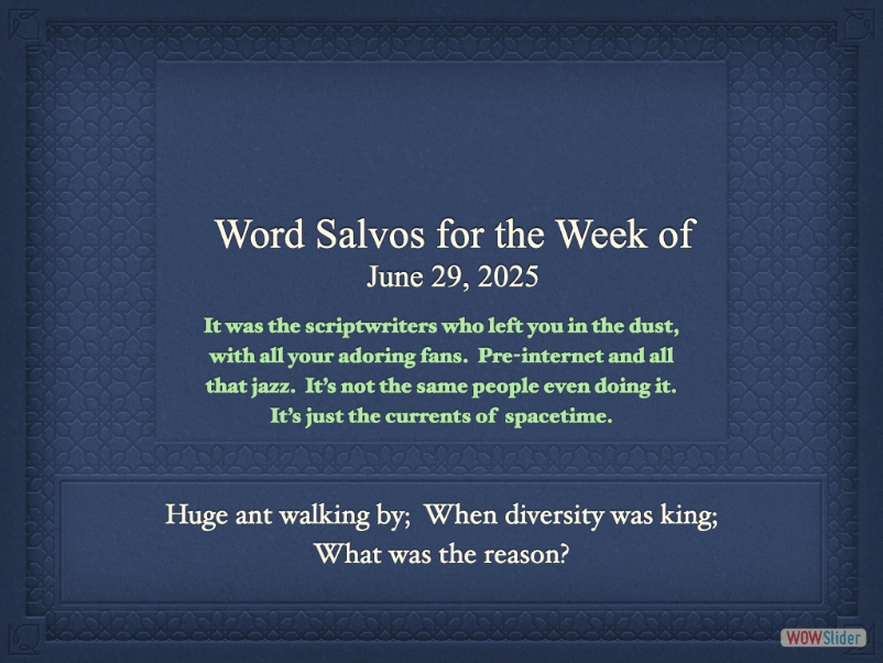 salvo1000by