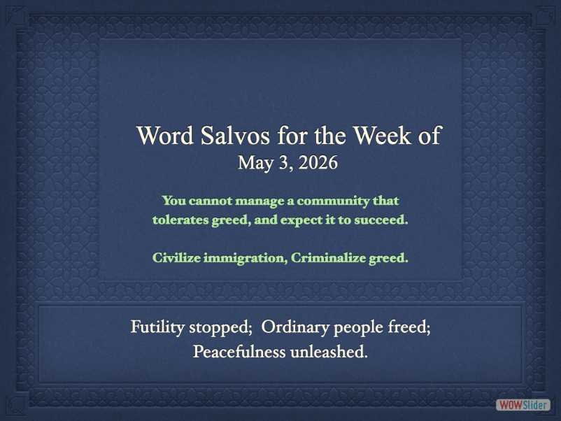 salvo1000dq
