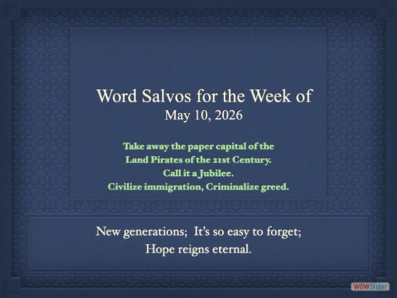 salvo1000dr