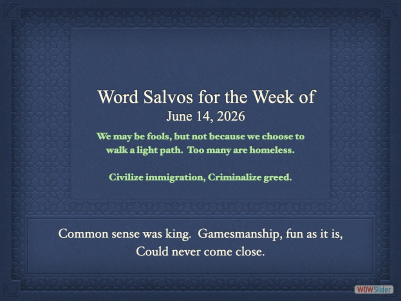 salvo1000dw