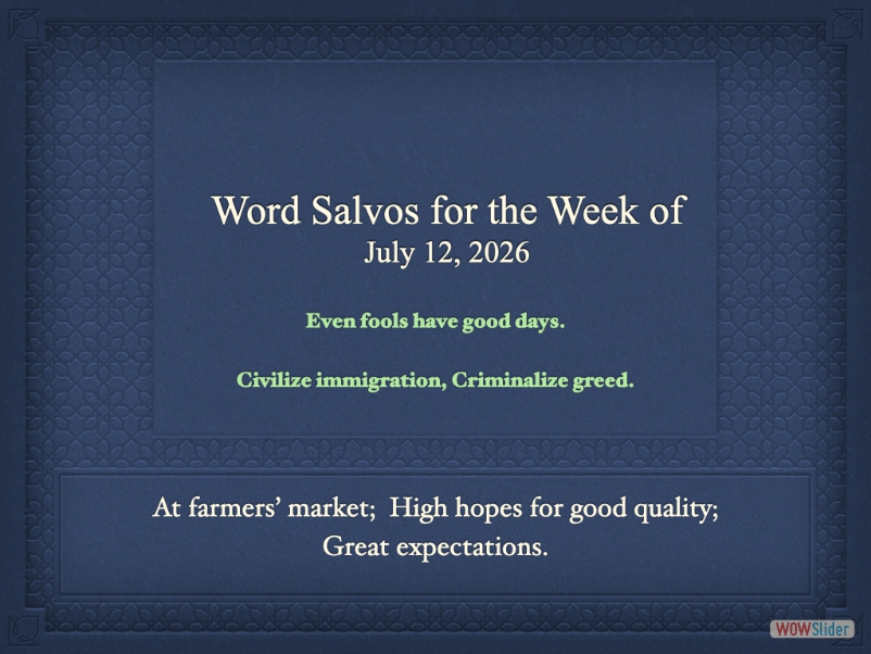 salvo1000ea