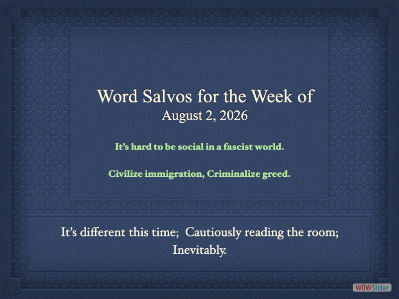 salvo1000ed