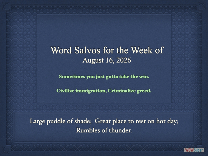 salvo1000ef