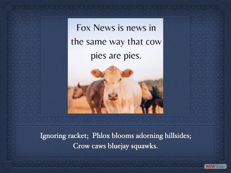 slideshow html code