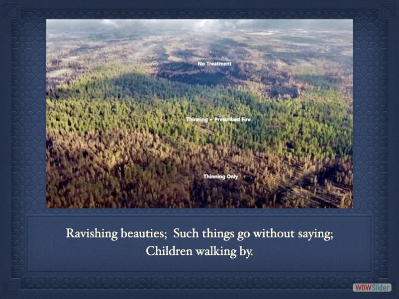 bootstrap carousel example
