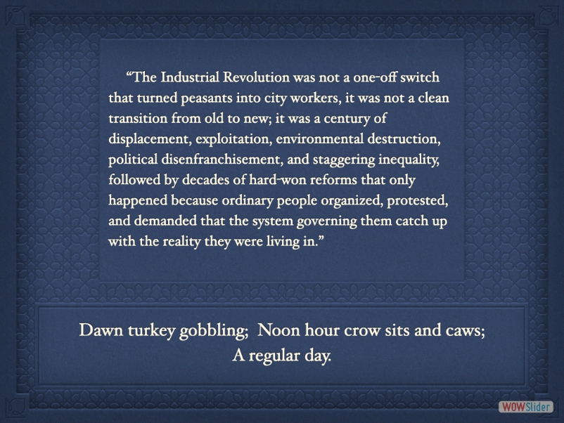 salvo1666
