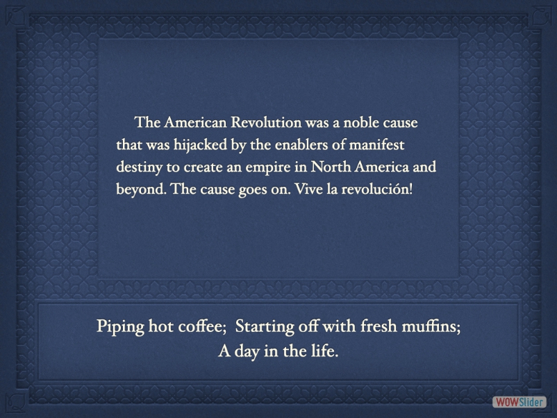 salvo1694